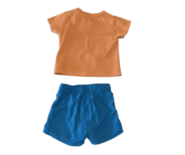 Ensemble - TEX