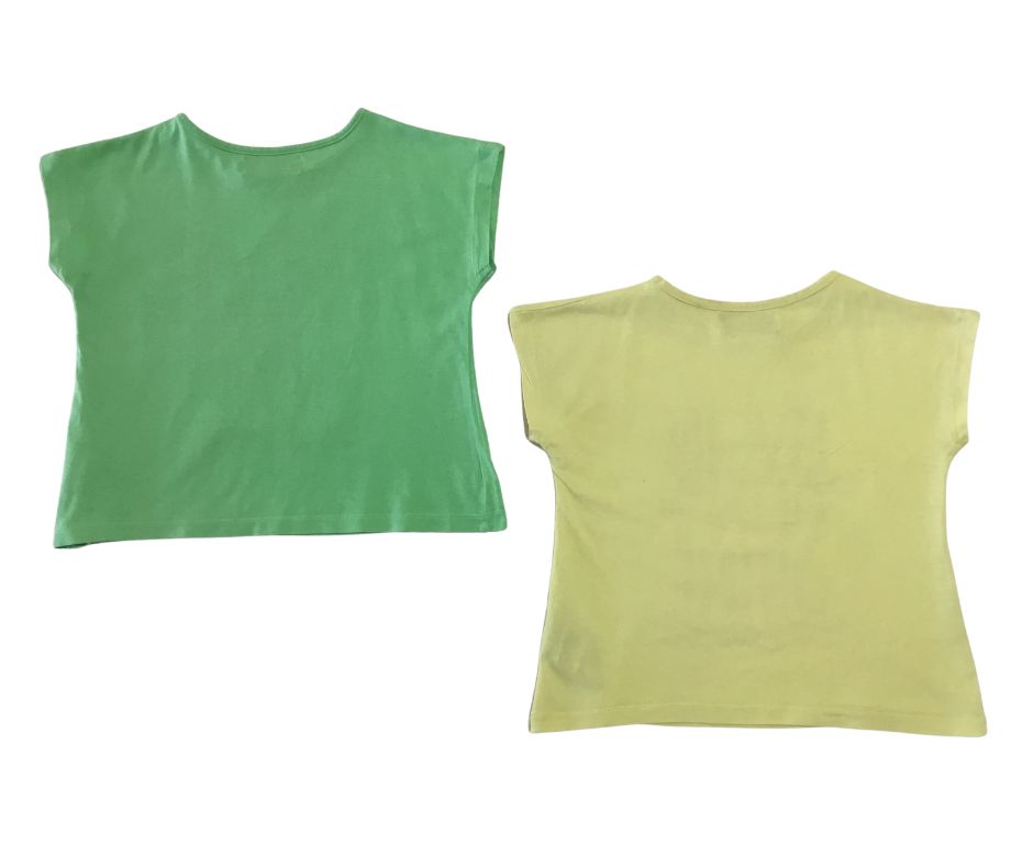 Tee-shirt - Lot de 2 - SILVERSUN - Taille 5/6 Ans